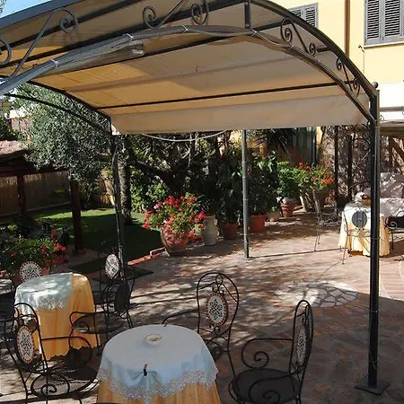 Nespolo D'oro